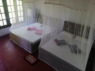 Bay Hill Guest House - 4