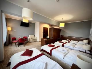 Hotel Szyndzielnia Eco - Bielsko-Biala - 8
