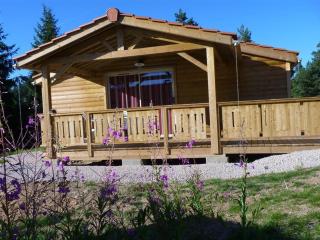 Les Chalets du Haut-Forez - Usson-en-Forez - 9