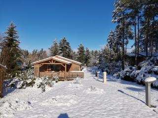 Les Chalets du Haut-Forez - Usson-en-Forez - 2