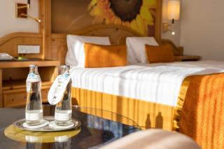 EUROPÄISCHER HOF Aktivhotel & Spa - Bad Gastein - 9