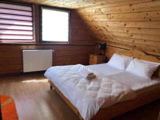 Cabana Viilor Dej - Dej - 3