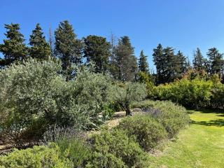 Beau studio en duo au coeur du Luberon - Saumane-de-Vaucluse - 5