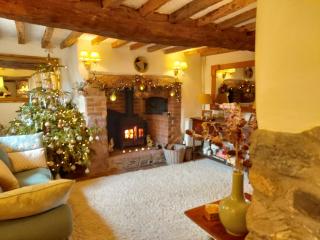 The Old Mill Cottage - Okehampton - 2