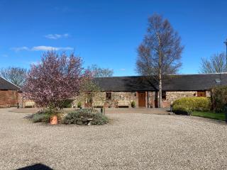 The Courtyard - Errol - 1