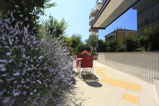 Hotel Conti - 2