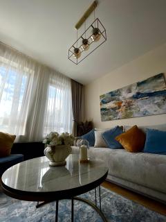 Aleksić Apartmani - Zlatibor - 7