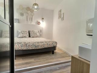 Le Petit Evali - WIFI - Centre - Albi - 5