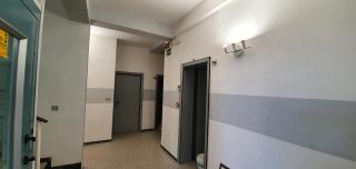 Hotel Franca - 5