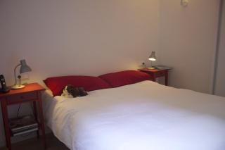 Apartamento Walden - San Justo Desvern - 2
