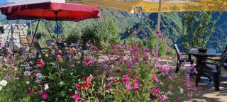 Betegi Guest House - Mestia - 7