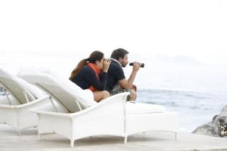 Birkenhead House - Hermanus - 4