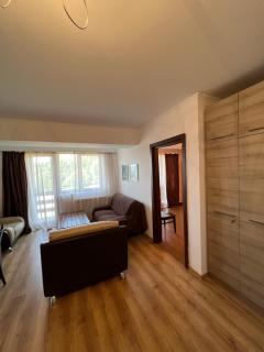 Apartment in Bakuriani - Bakuriani - 8
