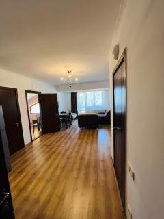 Apartment in Bakuriani - Bakuriani - 9