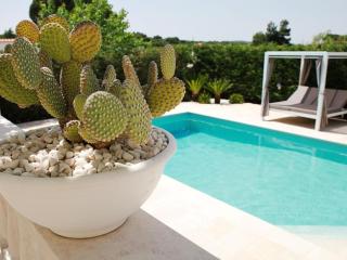 Villa with pool near Locorotondo - Locorotondo - 6