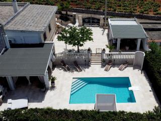 Villa with pool near Locorotondo - Locorotondo - 8