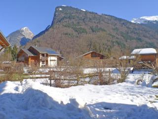 T3 cosy avec terrasse, arrêt ski-bus, parking privé, animaux admis, proche centre-village - FR-1-629-96 - Samoëns - 1
