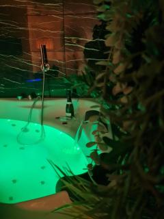 Escapade Mâconnaise Spa-Sauna-Ciel de pluie tropicale-Champagne Nuit Romantique - Mâcon - 5