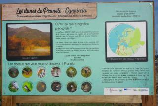 Résidence A NUCIOLA Les pieds dans l'eau Cervione Hte CORSE - Cervione - 1