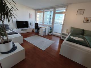 ZEN Apartment - spacious for 7 - central - kitchen - Offenbach - 7
