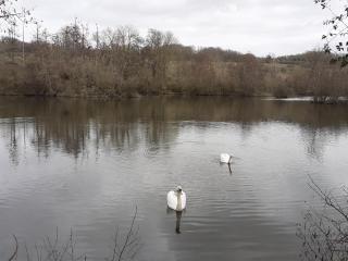 Au Bord de L'Eau - Écluzelles - 6