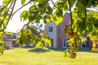 Eurostrand Resort Moseltal - Leiwen - 5