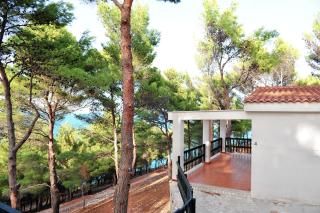 Gattarella Family Resort Puglia - Self catering accommodations in the pinewood - Vieste - 1