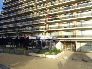 Cosy, zuidgerichte studio in De Panne met WiFi - La Panne - 6