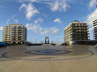 Cosy, zuidgerichte studio in De Panne met WiFi - De Panne - 7