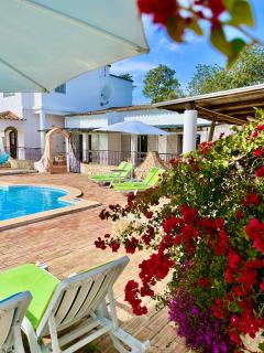 The Lemon Tree Villa - Moncarapacho - 0