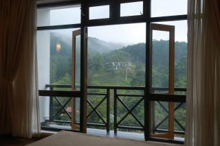 Alta Vista - 1