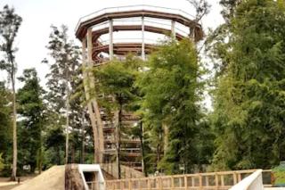 Meadowbrook Studio - 7