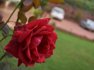 Hotel Soham Retreat - 8