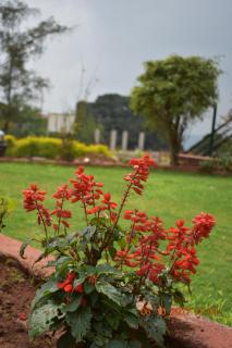 Hotel Soham Retreat - 9