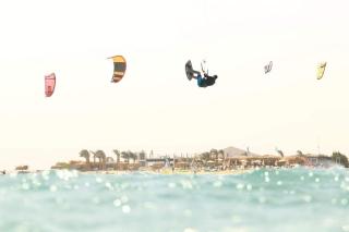 Mangroovy - 1BR GF +2 wall beds Garden & Pool view - Hurghada - 5