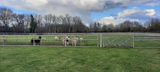 Blashford Manor Farmhouse Holiday Cottage - The Shire Cottage - Ellingham - 1