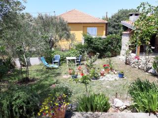 Apartman suzana sindija - Bibinje - 5