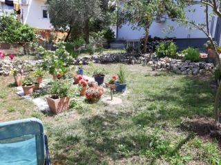 Apartman suzana sindija - Bibinje - 2