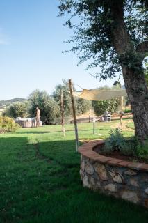 Agriturismo I Grappoli - Alberese - 6