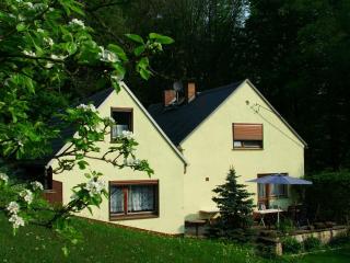 Ferienhaus-Elisabeth Bungalow-Tom Bungalow-Peter - Reinhardtsdorf - 9