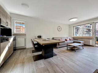 Eagle apartment with splendid and direct view of the Matterhorn - Zermatt - 9