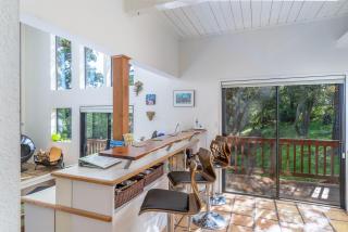 The Silver Lady - Cambria - 1