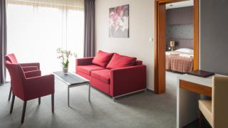 Bazuny Hotel&Spa - Kościerzyna - 7