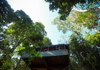 Chembarathi Wayanad Boutique Resort - 4