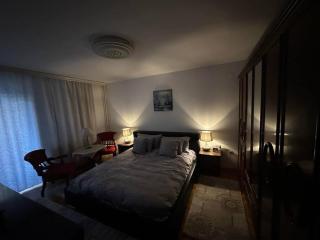 Cozy and Comfy - Pristina - 6