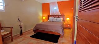 T2 D'ALICE SAINTE ANNE CENTRE - Sainte-Anne - 5