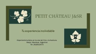 Petit Chateau J&SR - Maipú - 0