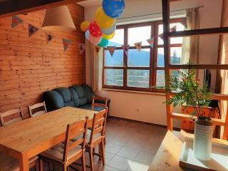 Velký apartmán Cihlarka - Černý Dŭl - 8