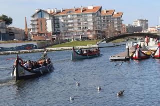 AVEIRO WONDER STAY - Aveiro - 8