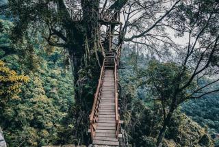 Curug Ciherang Villa & Glamping - 8